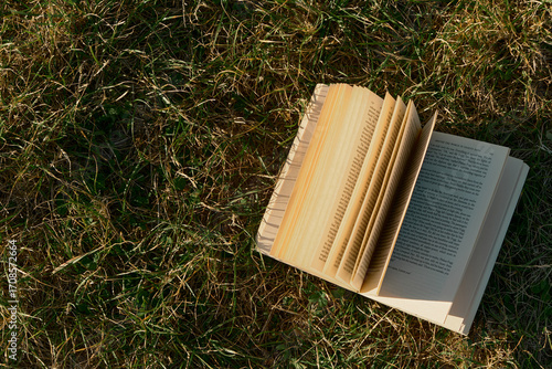 Horizontal top-down photo of autumn grass with an open book lying on the right side. Warm golden sunset light fills the frame, creating a cozy, atmospheric and romantic outdoor mood.