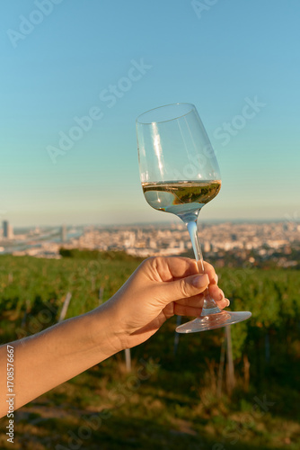 Vertical photo of a female hand with long nude nails holding a white wine glass above vineyard rows with Vienna in the distance. Warm pre-sunset light creates cozy, romantic, and elegant outdoor wine 