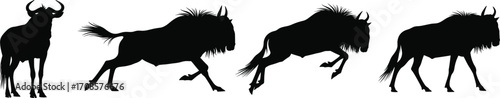 Wildebeest running and leaping motion sequence, animal movement stages, wildlife silhouette vector illustration, isolated on white background for nature and biology concepts