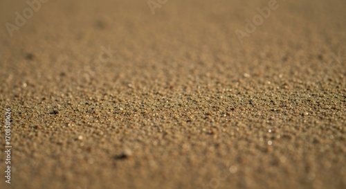 Wallpaper Mural Close-up view of wet sand.  Fine-grained texture Torontodigital.ca