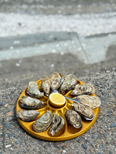 A dozen oysters with lemon on the Cancale embankment. Oyster farms