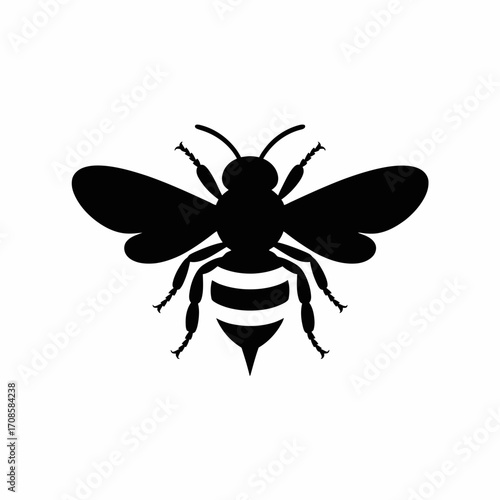 Black silhouette of a honey bee insect with wings spread