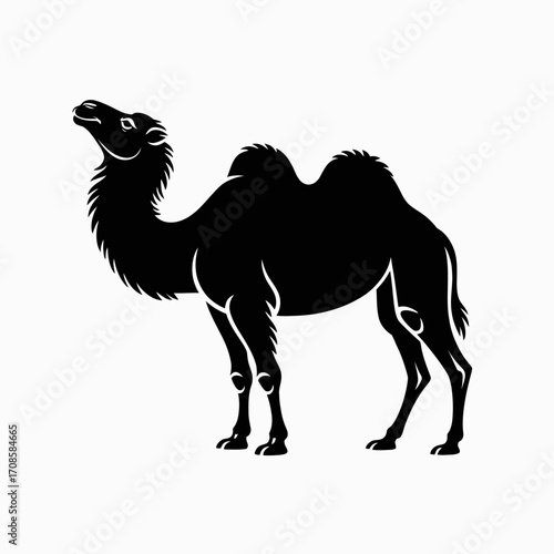 Black silhouette of a dromedary camel standing against a white background