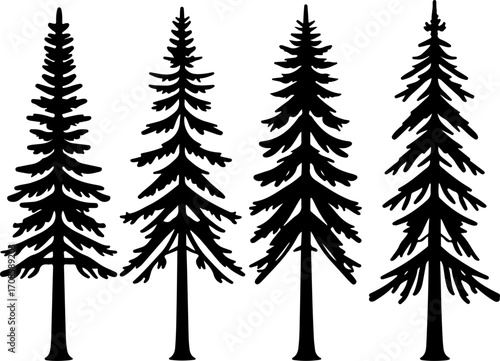 Silhouette of Pine Trees in Forest Landscape"