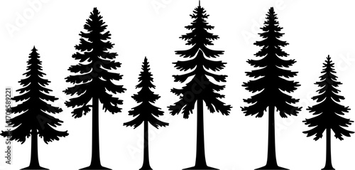 Silhouette of Pine Trees in Forest Landscape"