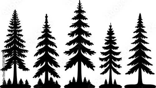 Silhouette of Pine Trees in Forest Landscape"