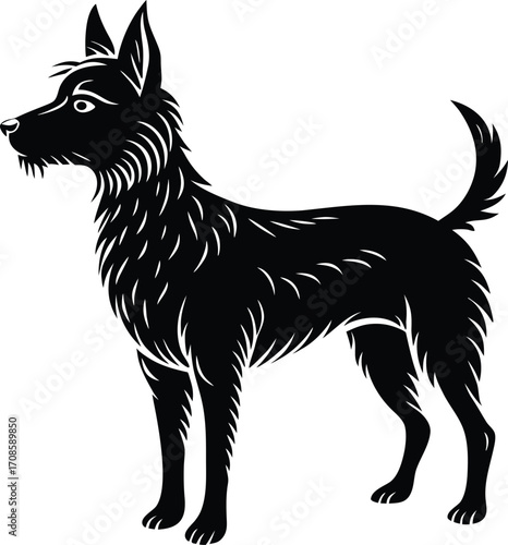 stray dog silhouette