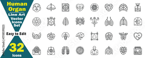 Human Organ Line Art Vector Icons Set. 32 Easy to Edit Black and White Illustrations