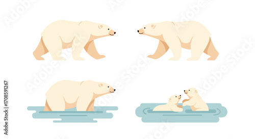 Cute flat illustration of polar bears in various poses.