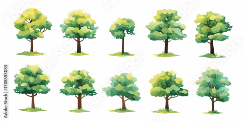 Collection of ten stylized deciduous trees with green and yellow foliage on a white background