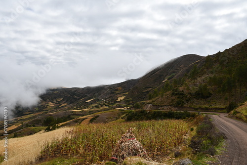 Carretera que rodea los andes peruanos en Huancavelica y cubierto de neblina - Road Winding through the Peruvian Andes in Huancavelica Covered in Fog