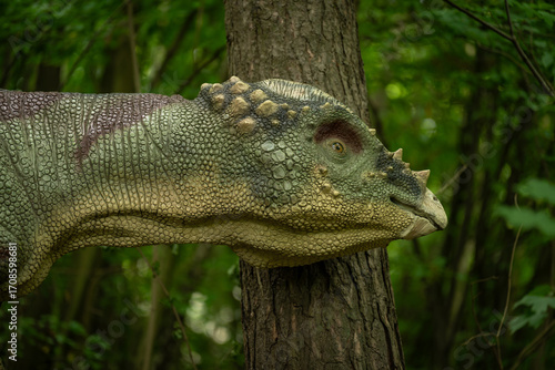 Wallpaper Mural Close-up of the head of a Pachycephalosaurus plastic figurine in the forest.
 Torontodigital.ca