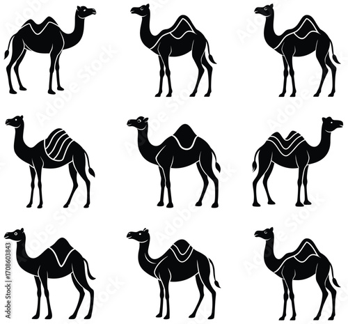 Nine black silhouette dromedary camels with varying saddle details on a white background desert animal