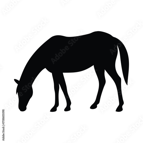 Black silhouette of a horse grazing on a white background
