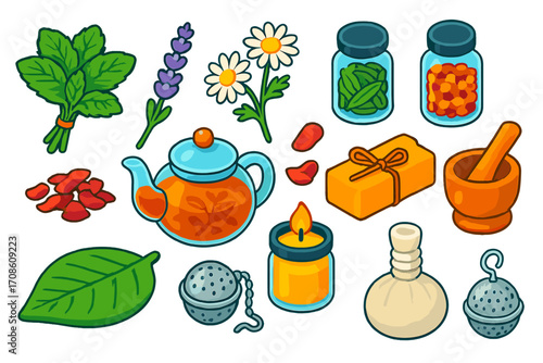 Herbal Wellness Icons. Isometric vector illustration set Herbal wellness: fresh mint bunch, lavender sprig, chamomile flowers,