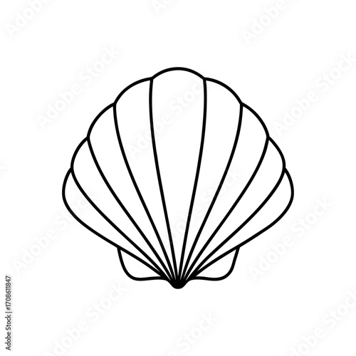 Simple outline drawing of shell on transparent background