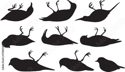 Silhouette set of dead birds lying on back with raised legs – wildlife loss and extinction concept.eps