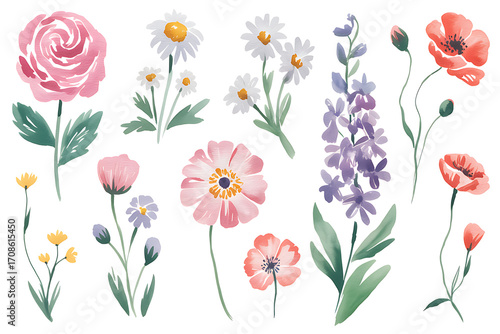 Watercolor collection of delicate wildflowers and garden flowers in soft colors