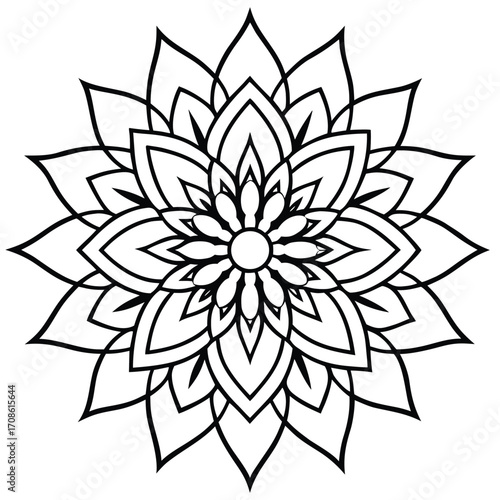 Intricate floral mandala design with fine ornamental details and decorative elements