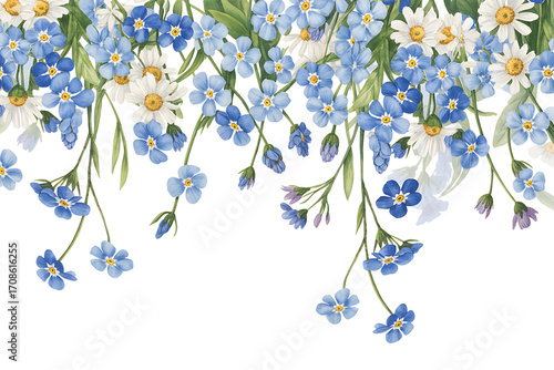 Delicate blue and white wildflowers cascading down on a white background