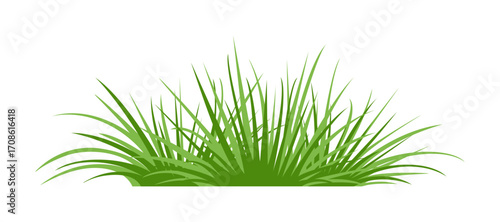 Lush green grass isolated on white background. Vector cartoon flat illustration. 