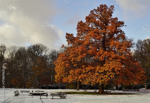 Herbst - Winter im Großen Garten
