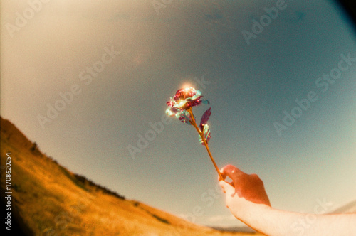 Shining Flower Against the Sky