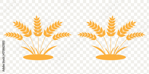 Wheat spikes, Wheats ears icon set, Harvest wheat grain, growth rice stalk and whole bread grains or field cereal nutritious. illustration of wheat plant. eps 10