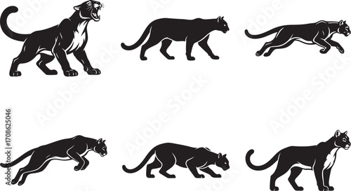Mountain Lion and Cougar Silhouette Vector Pack – 6 Wild Cat Poses