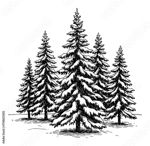 Beautiful Winter Scene of Snow Covered Fir Trees Landscape Black and White Outline Line Art Drawing