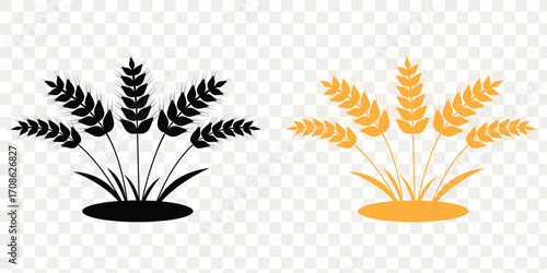 Wheat ears icon vector, agriculture wheat vector icon. Ear of Wheat, Barley or Rye. Vector icon isolated on white background. eps 10