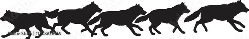 Silhouette vector sequence showing the running wolf in different stages of motion, illustrating animal movementSilhouette vector sequence showing the 