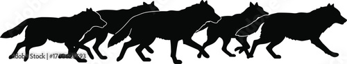 Vector illustration of a wolf pack running in silhouette style, depicting natural wildlife behaviorVector illustration of a wolf pack running in silhouette style, depicting natural wildlife behavior