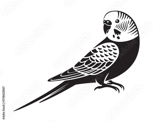 A striking black and white graphic illustration of a perched budgerigar, presented in a clean, stylized vector stencil format