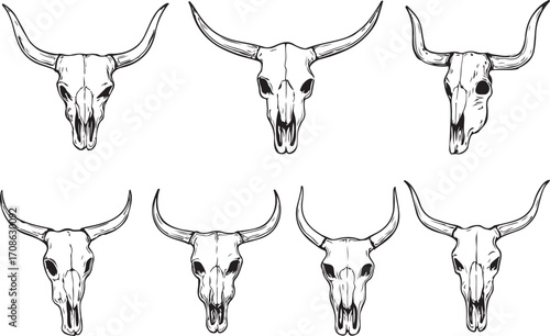  Line drawing longhorn skull set – detailed vector illustration with shading and empty eye sockets.eps