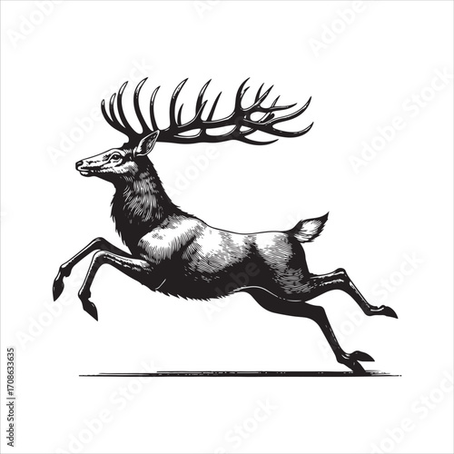 Leaping Deer with Large Antlers in Mid- Air stag buck