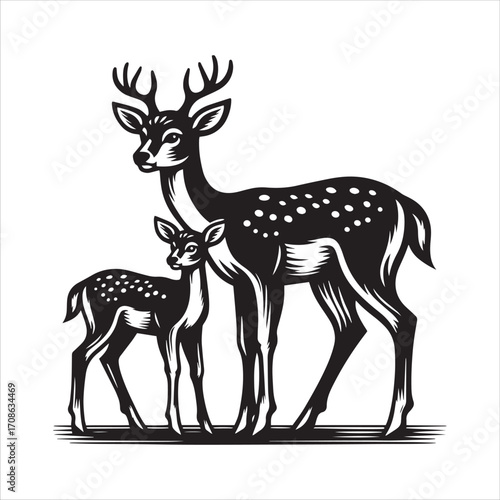 Deer Mother And Fawn Standing Together baby animal