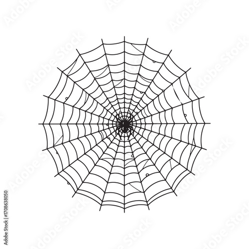 Spider Web Silhouette Vector