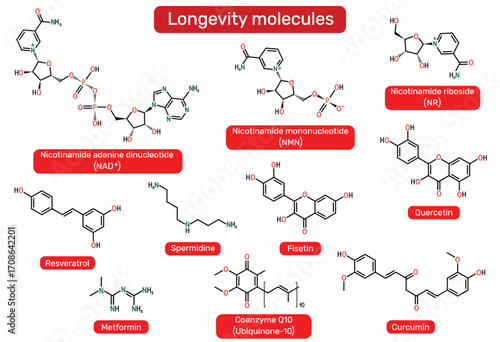 Longevity molecules. NAD+, nicotinamide mononucleotide (NMN), nicotinamide riboside (NR), spermidine, resveratrol, fisetin, quercetin, metformin, coenzyme Q10, curcumin