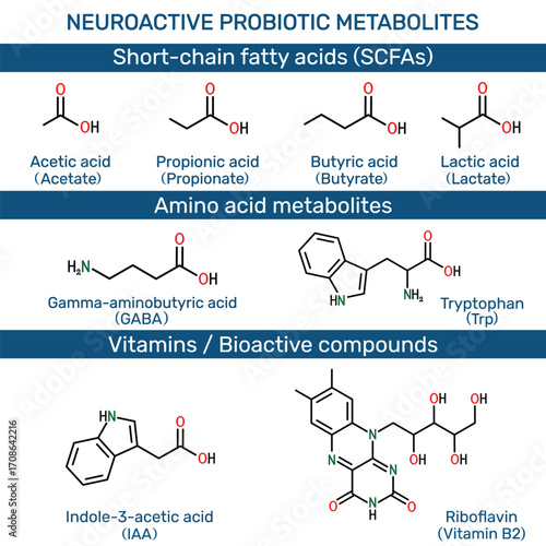 Neuroactive probiotic metabolites: short-chain fatty acids, SCFAs, amino acid metabolites. Acetic, propionic, butyric, lactic acid, GABA, tryptophan, indole-3-acetic acid, riboflavin