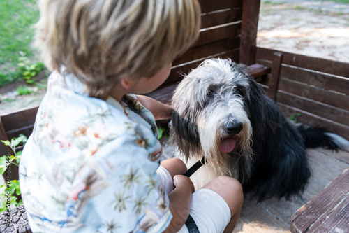 Quiet playful time of dog and child in shelter