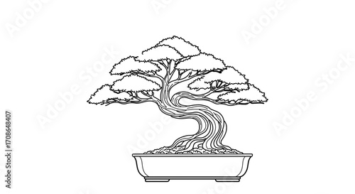 Bonsai tree in pot japanese art of growing miniature trees in containers