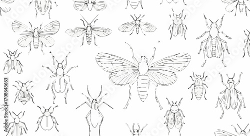 Seamless pattern of insects, a detailed entomological illustration