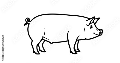 Illustration of a pig a simple and clean design of a farm animal