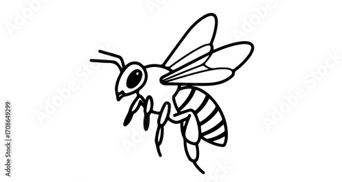 Illustration of a honey bee flying, insect with wings and stinger
