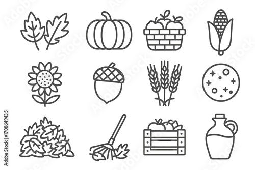 Autumn Harvest Icons. Line style icons of seasonal harvest: autumn leaves, pumpkin, basket with apples, corn stalk; sunflower,