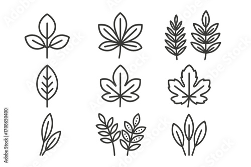 Compound Leaf Icons. Line style icons of compound leaves: trifoliate leaf, palmate leaf, pinnate leaf, bipinnate leaf; serrated