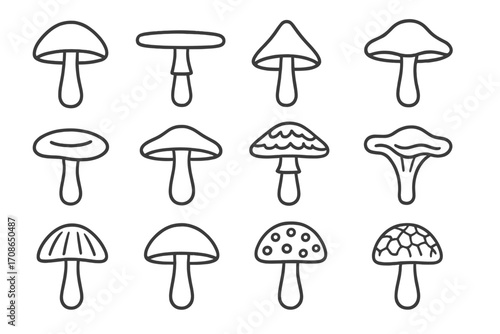 Mushroom Cap Icons. Line style icons of mushrooms by cap type: convex, flat, bell-shaped, umbonate; depressed center, upturned,