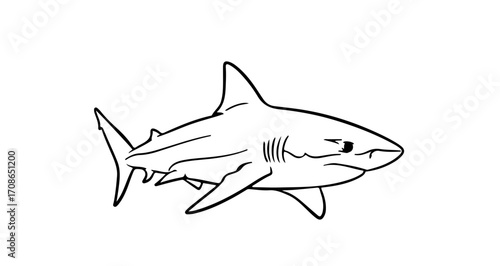 Illustration of a shark, ideal for marine biology or ocean conservation themes