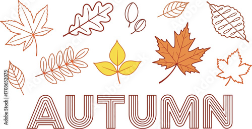 Autumn leaves fall season vector illustration design